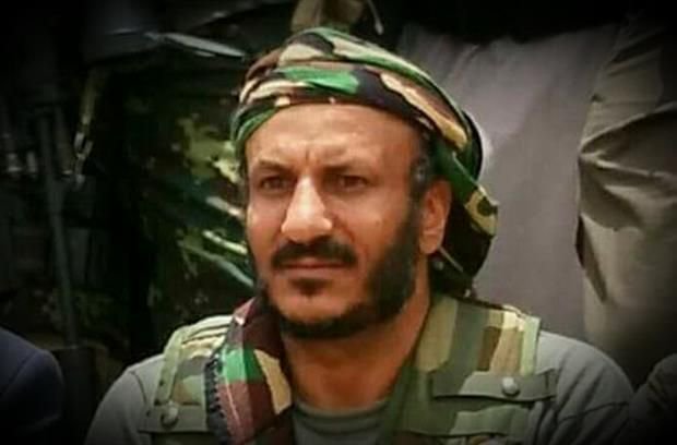 طارق صالح