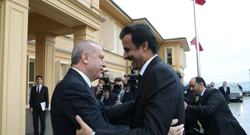 أمير قطر وأردوغان