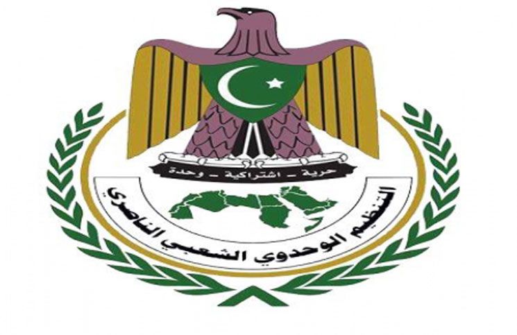 الحزب الناصري
